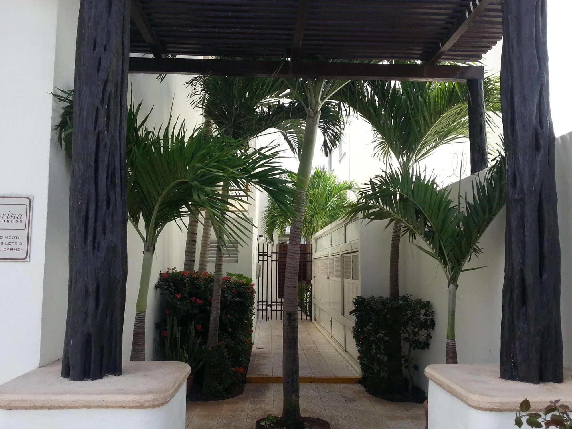 بلايا ديل كارمن Vida Nueva Bed&Breakfast Peregrina المظهر الخارجي الصورة